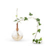 Bloemen en planten Bloemen en planten