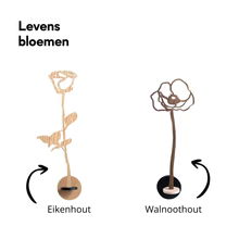 Joeff Muuss levensbloem/kunstschakel