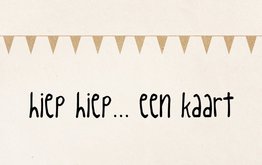Ansichtkaart Zinvol  Ansichtkaart Zinvol